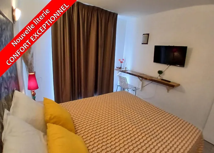 Zenitude Residences - Studio Prive - Balcon Clim Self-Checking Animaux Bienvenus